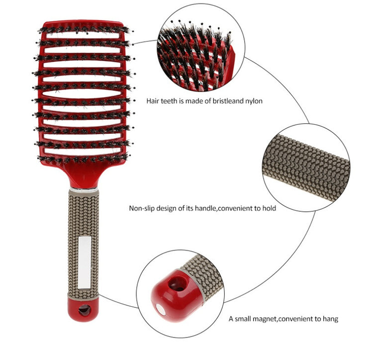 Brosse Démêlante Anti-Nœuds Massage Cuir Chevelu & Brillance