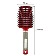 Brosse Démêlante Anti-Nœuds Massage Cuir Chevelu & Brillance