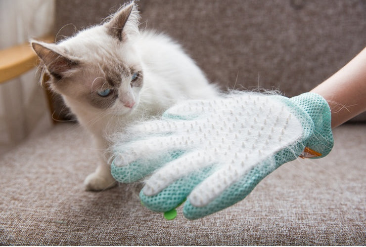 Brosse Anti-Poils d’Animaux Nettoyage Rapide & Réutilisable